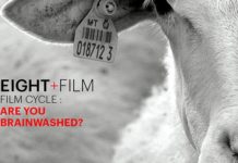 Ciclo de cine: ¿Are you brainwashed?