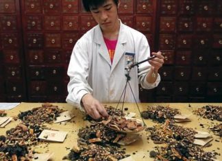 La sabiduría de la Medicina Tradicional China (MTC)