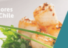 Sabores de Chile, la ventana al país austral