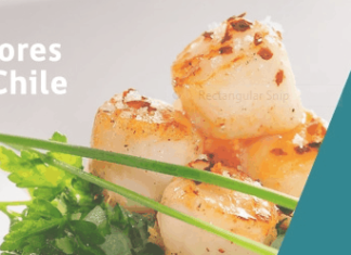 Sabores de Chile, la ventana al país austral