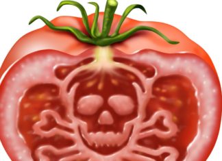 ¿Qué pasa con la seguridad de la comida?