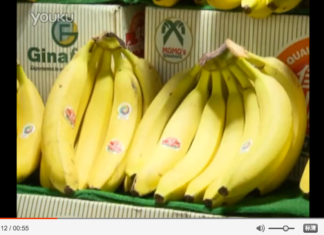 El Banano de Ecuador (Video)
