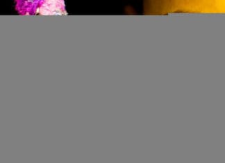 SORTEO: 2 entradas a THE ISLANA Burlesque Cabaret y 2 entradas al día de la Independencia Colombiana en The Pearl Theater