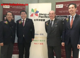 LA ALIANZA DEL PACIFICO “PRIMERA MUESTRA DE CINE“