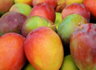 El mango fresco ecuatoriano ya puede ingresar a China