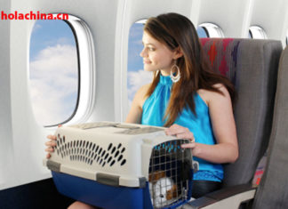 Sacar a tu mascota de China