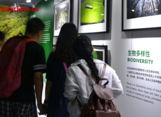 El Consulado de Ecuador reconoce trabajos sobre Galápagos