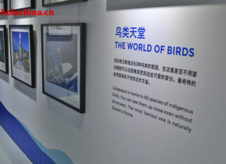 Los "cuatro mundos" de Ecuador en Shanghái “厄瓜多尔四境”在上海