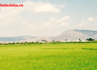 Primavera de Yunnan (primera parte) 云南的春天 (第一章)