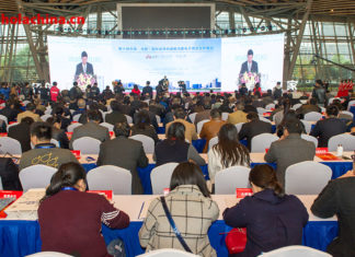 X Feria de Electrodomésticos y Electrónica (Hefei) – 第十届中国(合肥)国际家用电器暨消费电子博览会揭幕