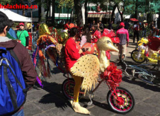 Festival de la Primavera Chino en CDMX-中国的春节在墨西哥市