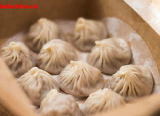 Deliciosos dumplings chinos
